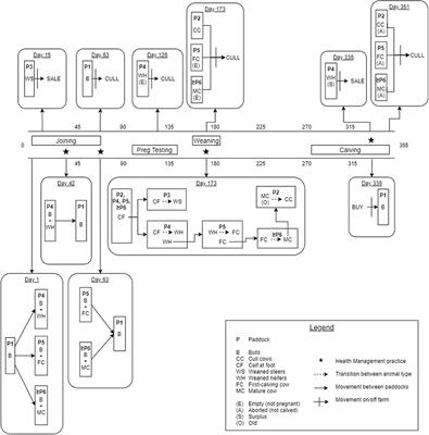 Modeling the Effect of Bovine Viral Diarrhea Virus in Australian Beef Herds